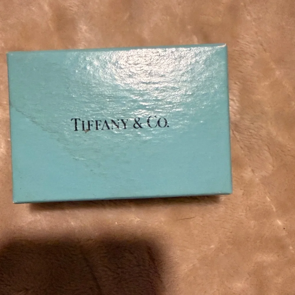 Tiffany & Co. Sterling Silver Clip with pouch and box. No engraving